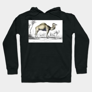 The Camel Hoodie